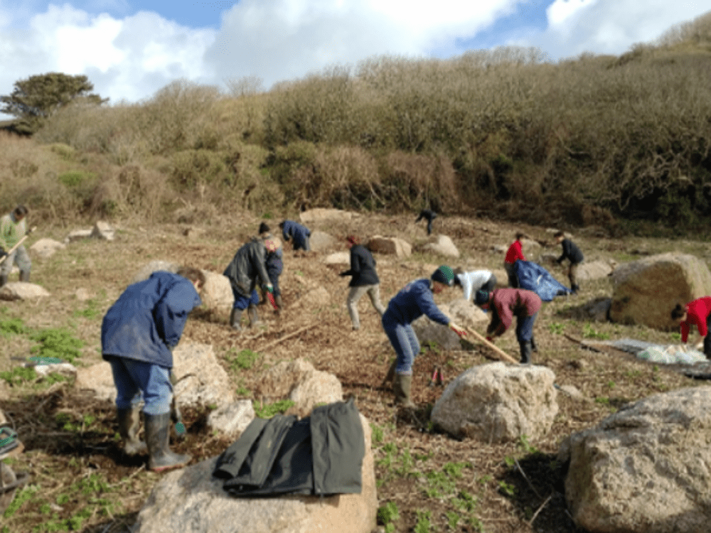National Trust Partnership Working Day