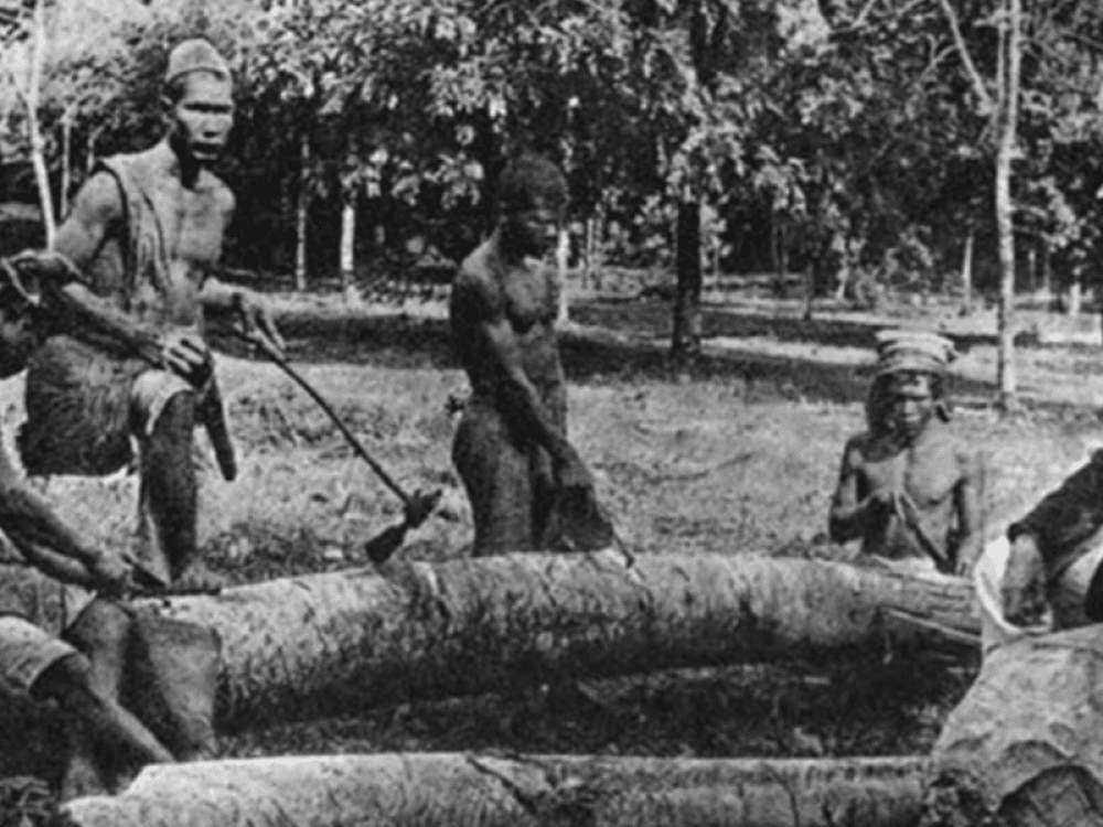 Extraction of Gutta Percha from the Trunk in Sumatra