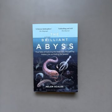 The Brilliant Abyss