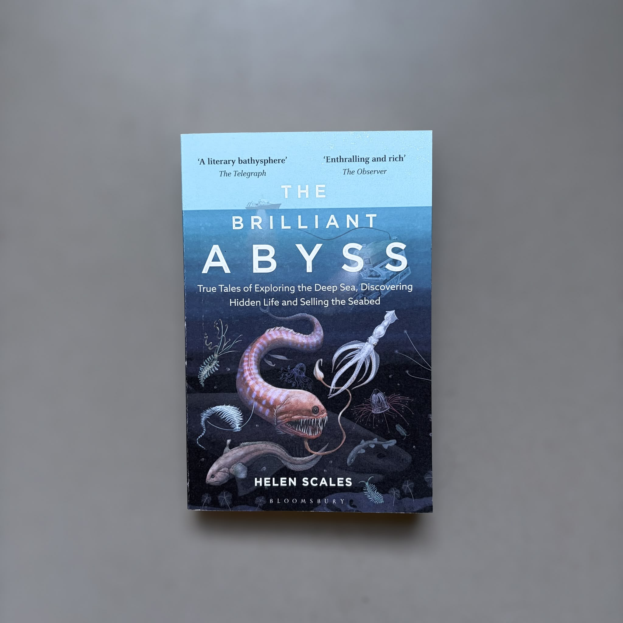 The Brilliant Abyss