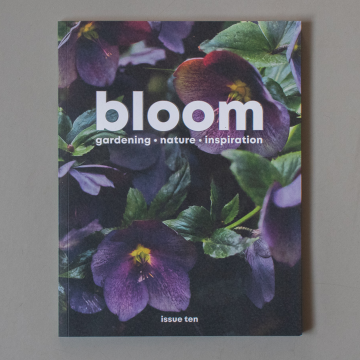 bloom front