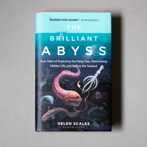 the brilliant abyss