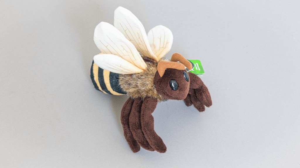 Living Nature European Honey Bee | PK Porthcurno