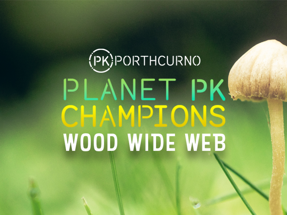Planet PK Champions: Wood Wide Web