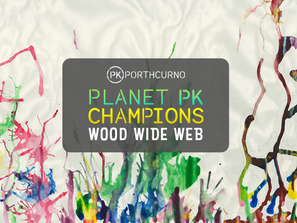 Planet PK Champions and the Wood Wide Web