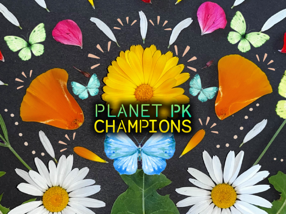 Planet PK Champions: Butterflies in Bloom 🦋