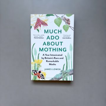 Much Ado About Mothing