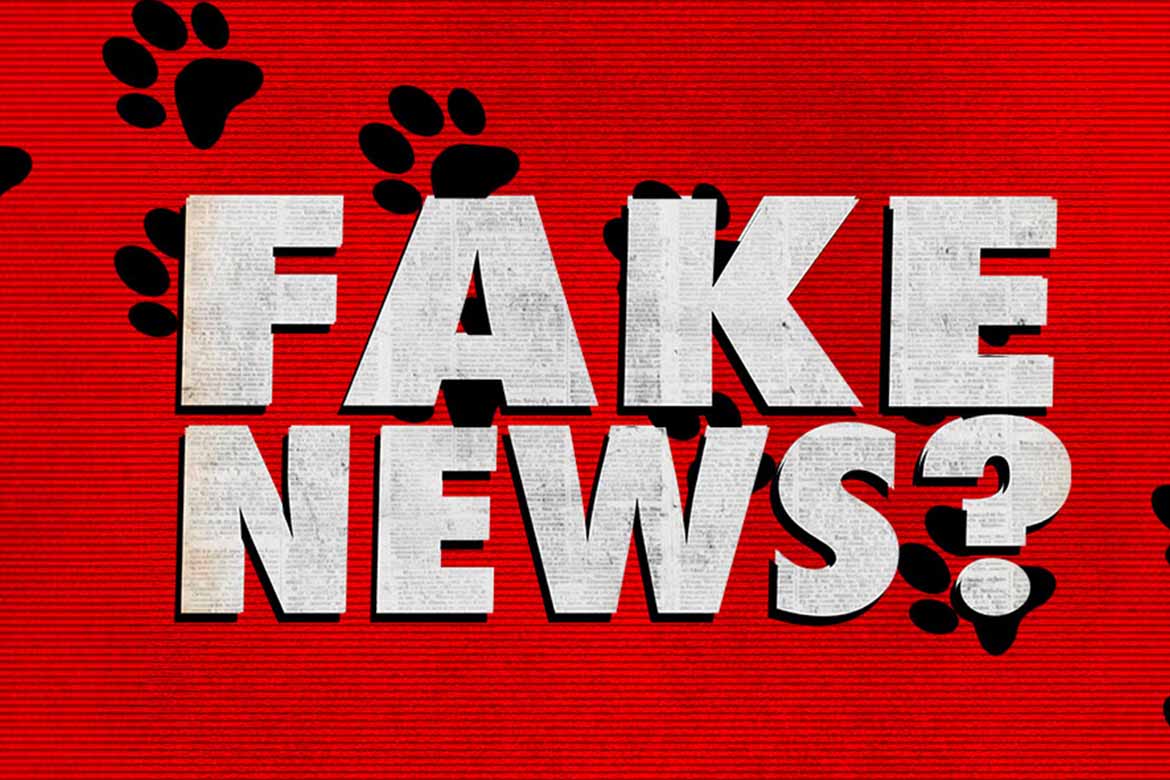 FAKE NEWS TEXT on a red background